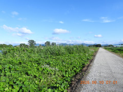 DSCN4236.JPG