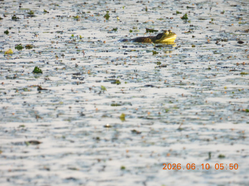 DSCN4183.JPG