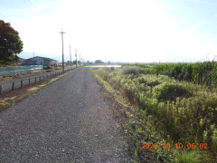 DSCN4196.JPG