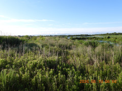 DSCN4197.JPG