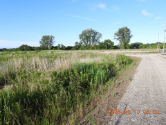 DSCN4198.JPG