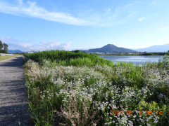 DSCN4201.JPG