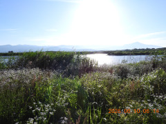 DSCN4202.JPG