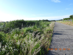 DSCN4203.JPG