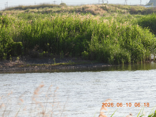 DSCN4204.JPG