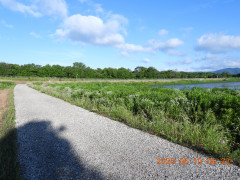 DSCN4208.JPG