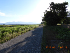 DSCN4210.JPG