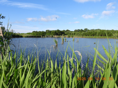 DSCN4212.JPG