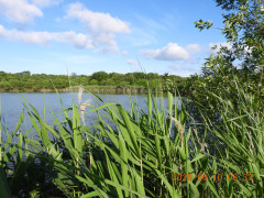 DSCN4213.JPG