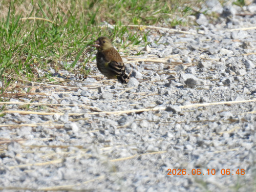 DSCN4221.JPG