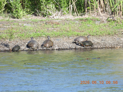 DSCN4224.JPG