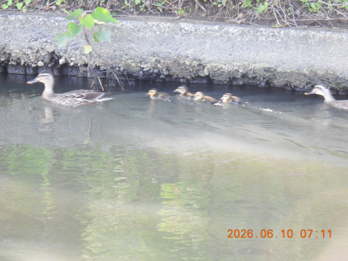 DSCN4247.JPG