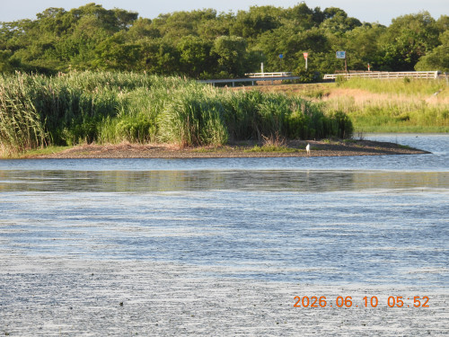 DSCN4187.JPG