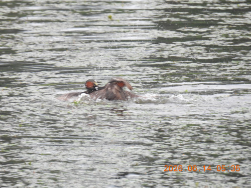 DSCN4263.JPG