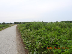 DSCN4259.JPG