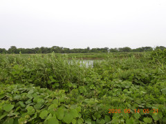 DSCN4260.JPG