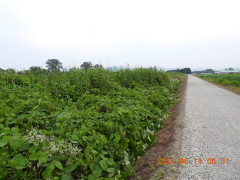 DSCN4261.JPG