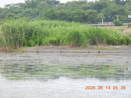 DSCN4268.JPG