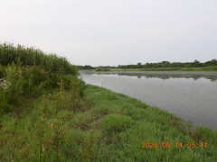 DSCN4273.JPG