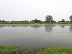 DSCN4274.JPG