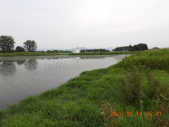 DSCN4275.JPG