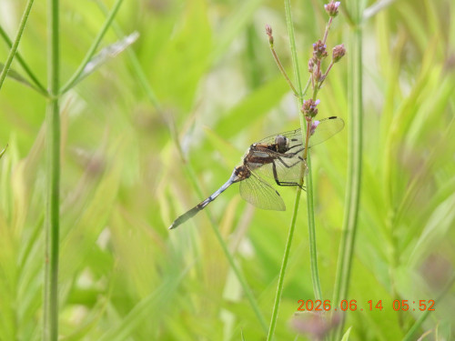 DSCN4290.JPG