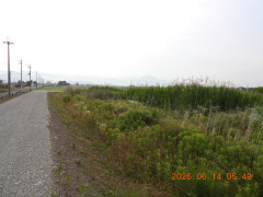 DSCN4285.JPG