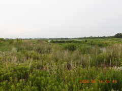 DSCN4286.JPG