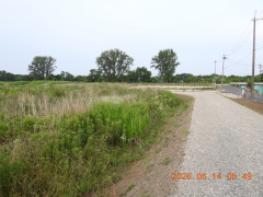 DSCN4287.JPG