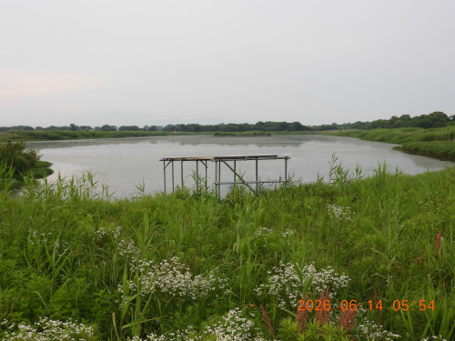 DSCN4291.JPG