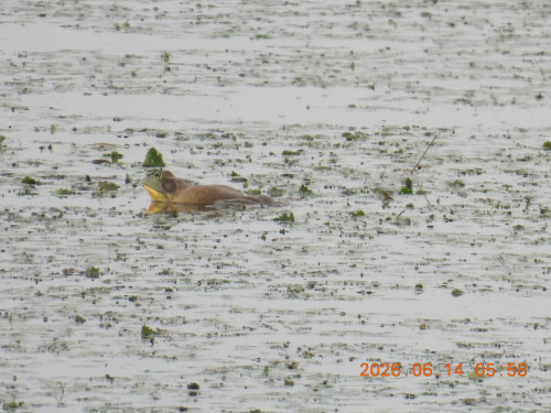 DSCN4296.JPG