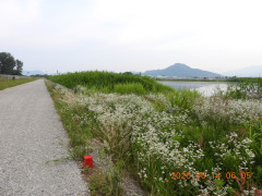 DSCN4299.JPG