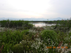 DSCN4300.JPG