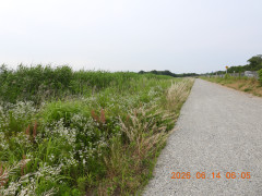 DSCN4301.JPG