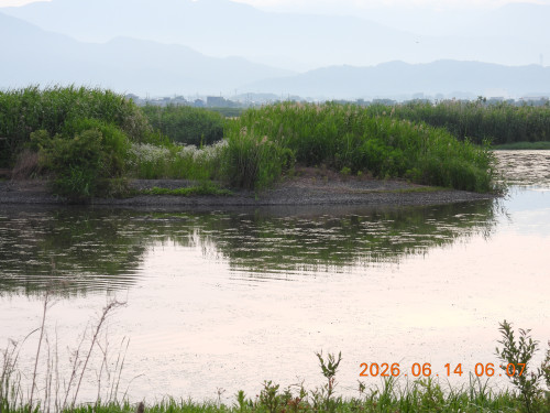 DSCN4302.JPG