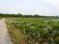 DSCN4306.JPG