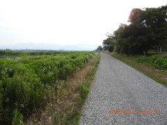 DSCN4308.JPG
