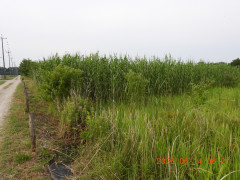 DSCN4311.JPG