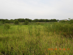 DSCN4312.JPG