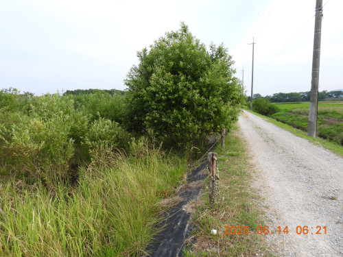 DSCN4313.JPG