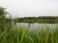 DSCN4314.JPG