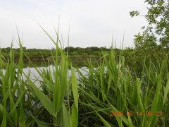 DSCN4315.JPG