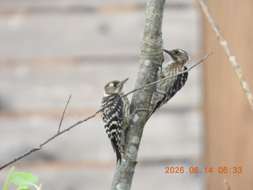 DSCN4318.JPG