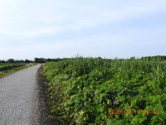 DSCN4379.JPG