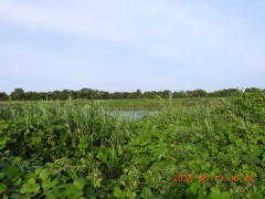 DSCN4380.JPG