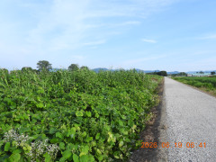 DSCN4381.JPG