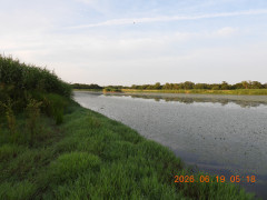 DSCN4341.JPG