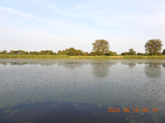 DSCN4342.JPG