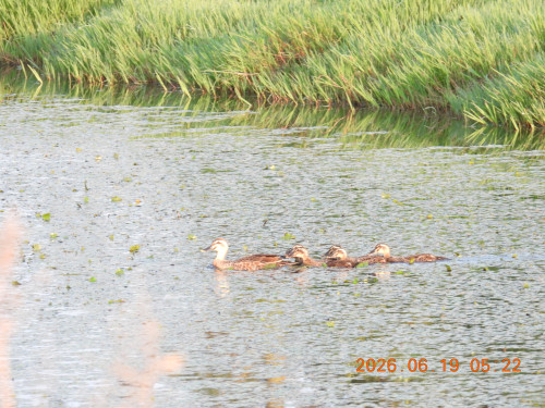 DSCN4346.JPG
