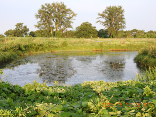 DSCN4351.JPG